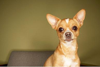 《漫游者：命运碎片》官宣跳票 9月13日发行